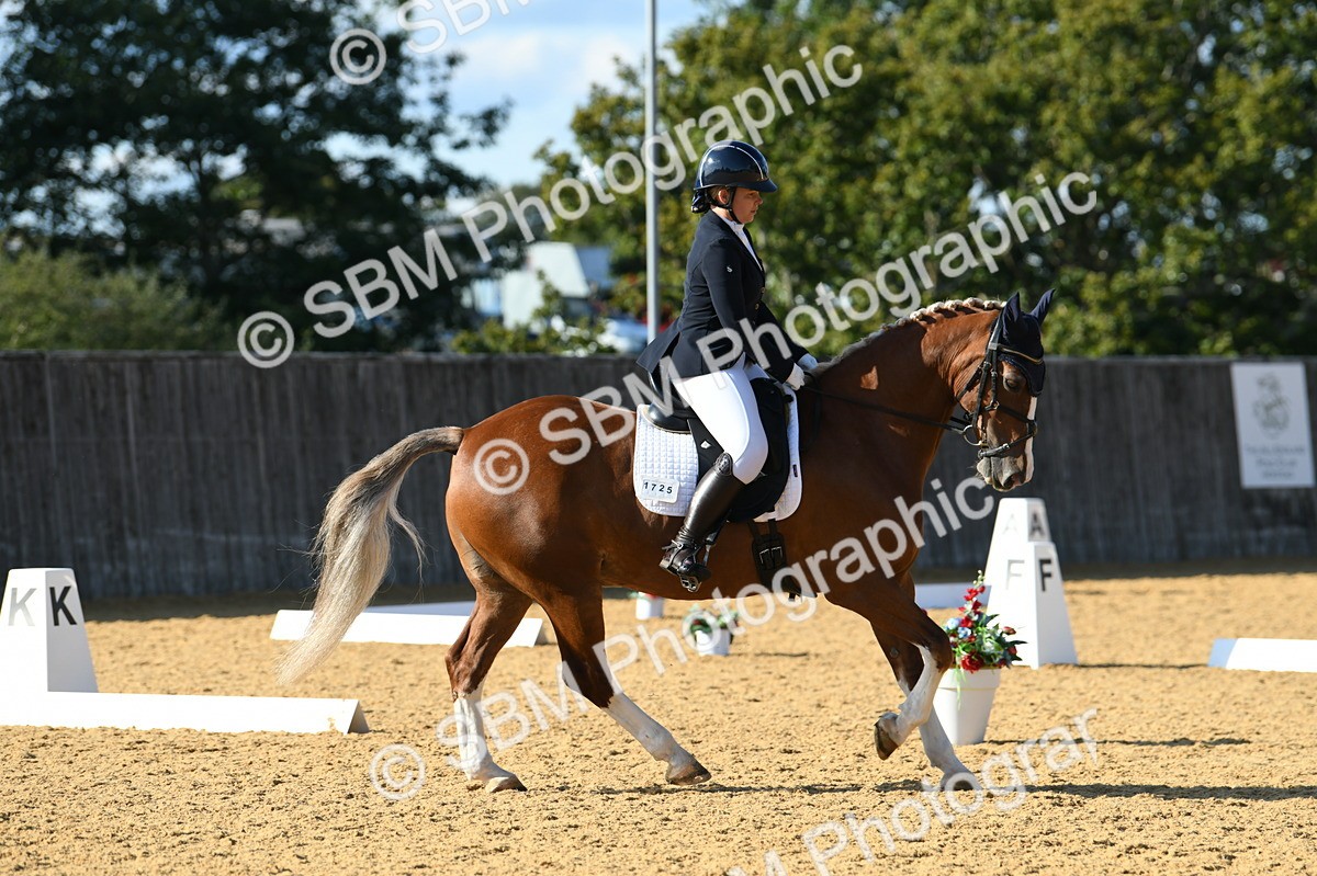 SBM_27301 - D16 - Small Tour Championship - Novice 28
