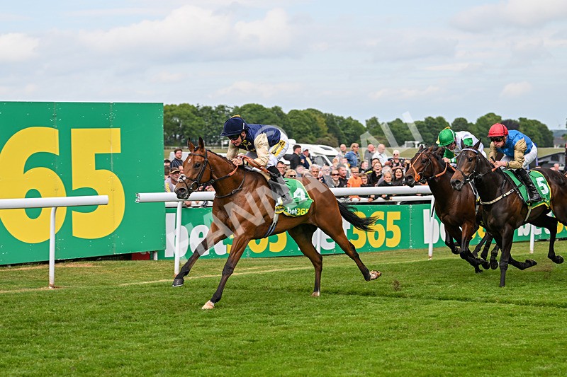 240525-Race 3-Old Is Gold-0899 - Race 3