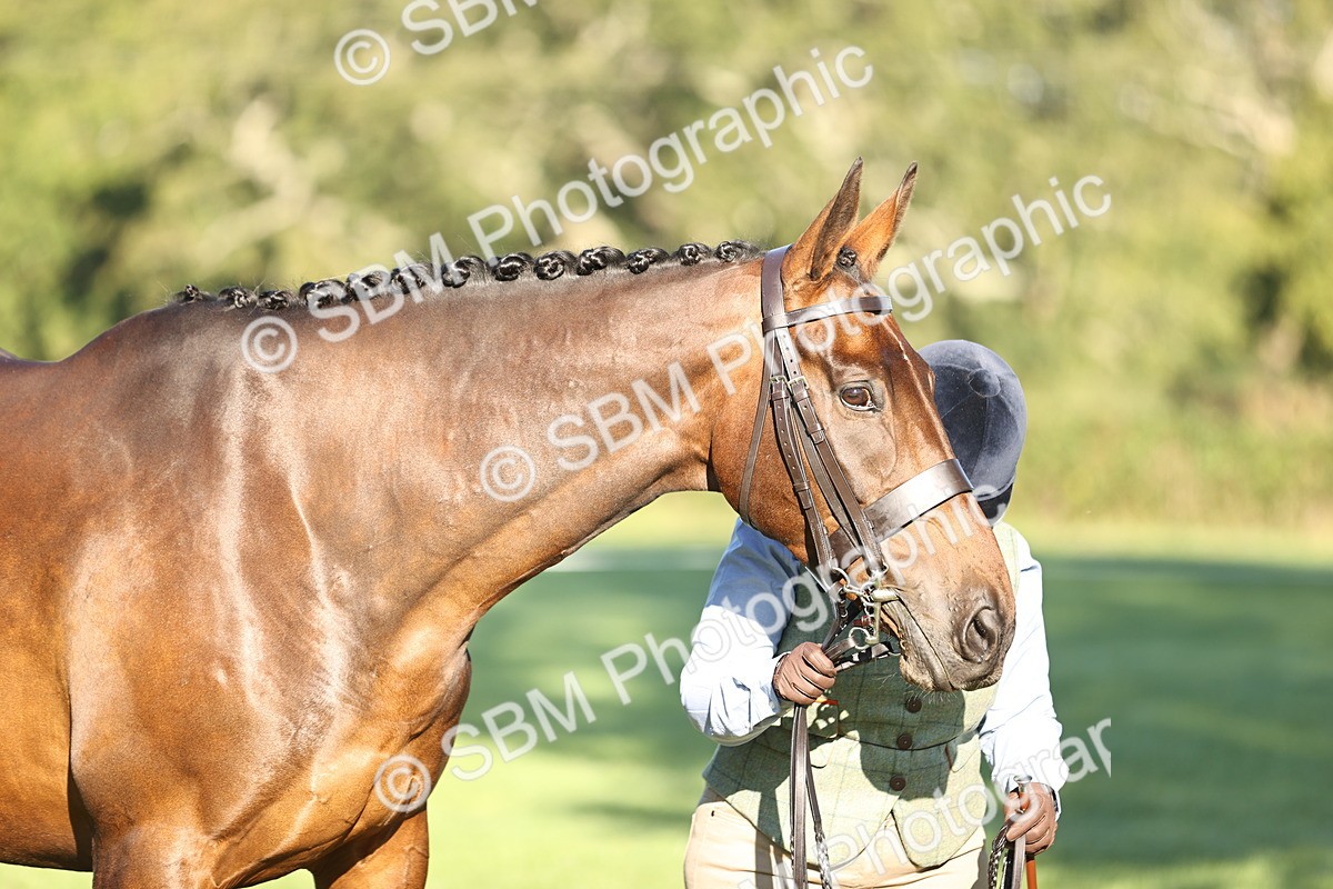 SBM_15679 - S1 - TSR in Hand Horse & Pony Showing