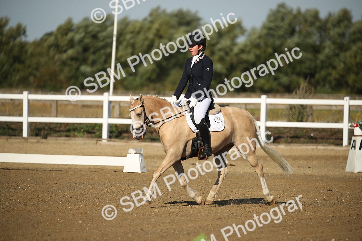 SBM_004464 - Class 11 - Novice 5 - 9.0010.03