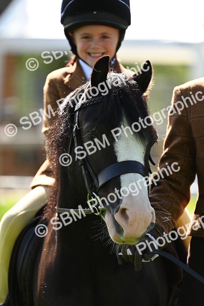 SBM_02827 - S3 - TSR Ridden Pony Showing