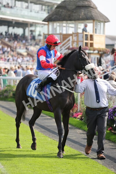 yr05092021r2-13 - Race 2 2.40pm John and Judith Marshall Memorial Stakes