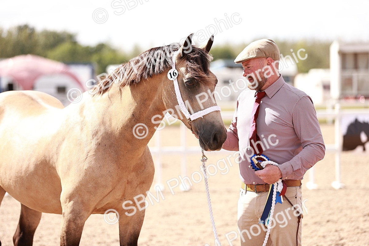 SBM_23018 - Class 707 - IH groom Helpers Class