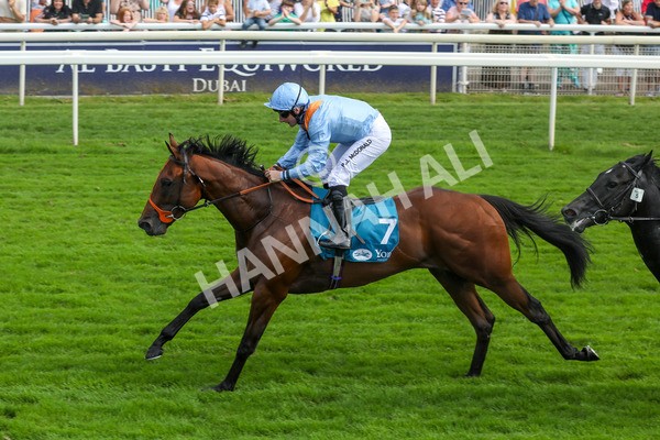 100923-Race 1-The Coffee Pod-3763 - Race 1 1.40pm Ire Incentive, It Pays To Buy Irish EBF Novice Stakes