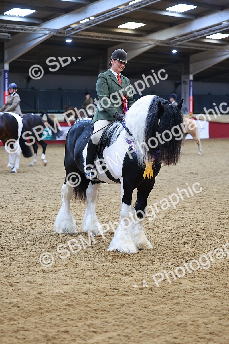 SBM_09865 - Class 102 - HOYS Veteran Qualifier - Ridden Veteran