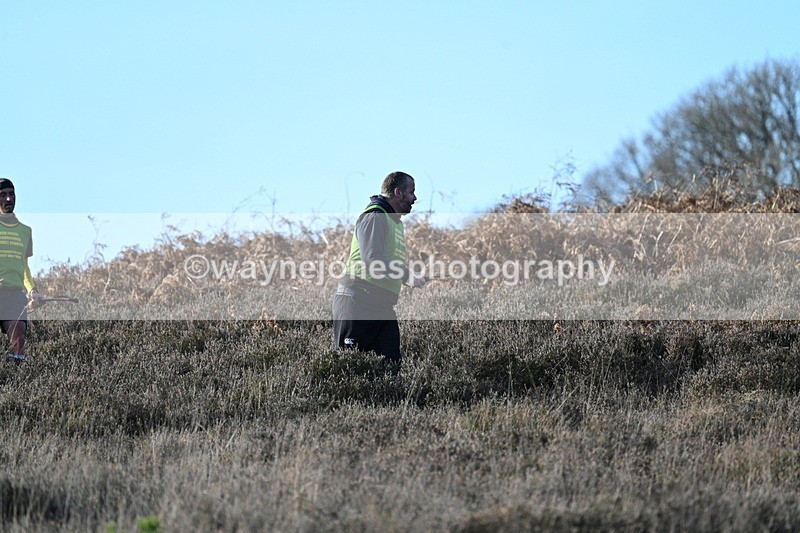 WJ7_7859 - Line 3 (no line 4 or 5)