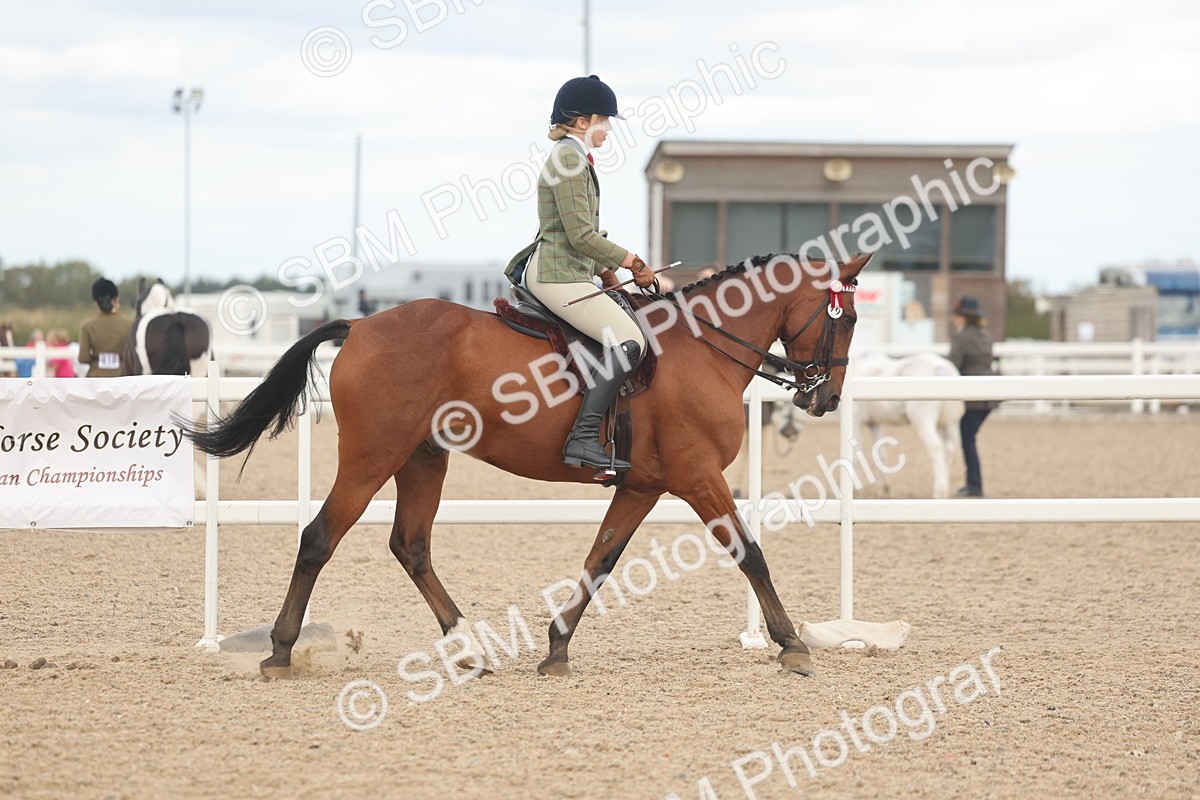 SBM_18106 - Class 315 - Best Horse-Rider Combination