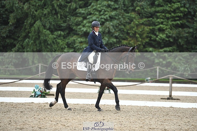 240720-142746-05645 - 237-Sue_Lanz-Wellshead_Foxtrot