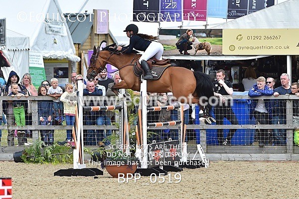BPP_0519 - RHS 2019 Selection - *Just some random spectator shots so Lucky Dip if you are there!