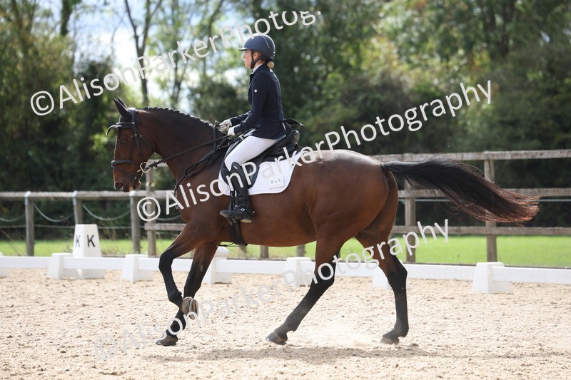 20260923-0456 - Class 7 - Novice 2