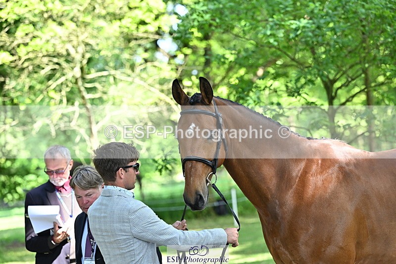 250521A-154505-00735 - B-363-Tom.D.Crisp-BLS.ABSOLUTELY