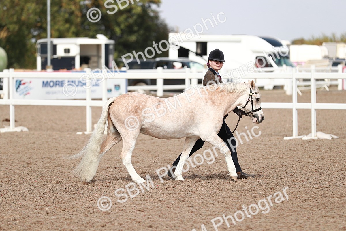 SBM_13809 - Class 209 IH Veteran Pony