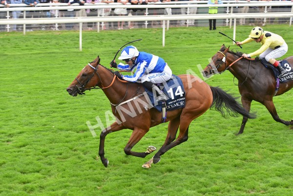 yr20082021r4-129 - Race 4 3.35pm Coolmore Wootton Bassett Nunthorpe Stakes (British Champions Series Race)