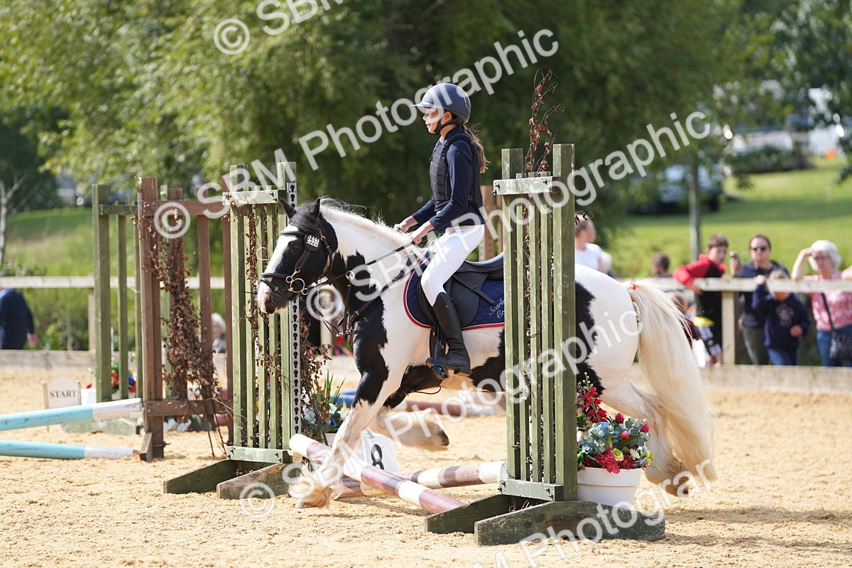 SBM_65807 - J2 - Mini Tour Junior Pony 30cm Championship