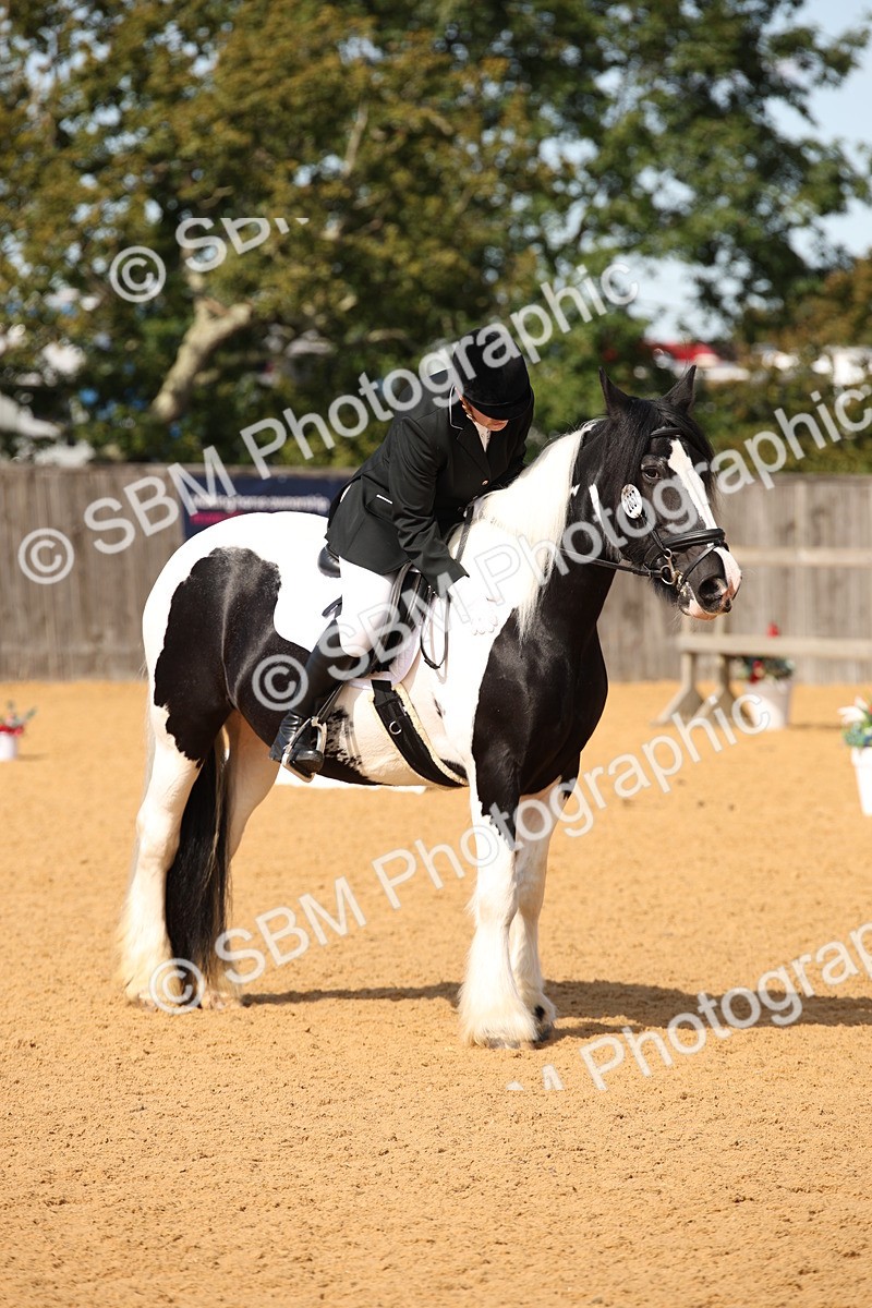 SBM_21850 - D5 - Small Tour Championship - Intro C