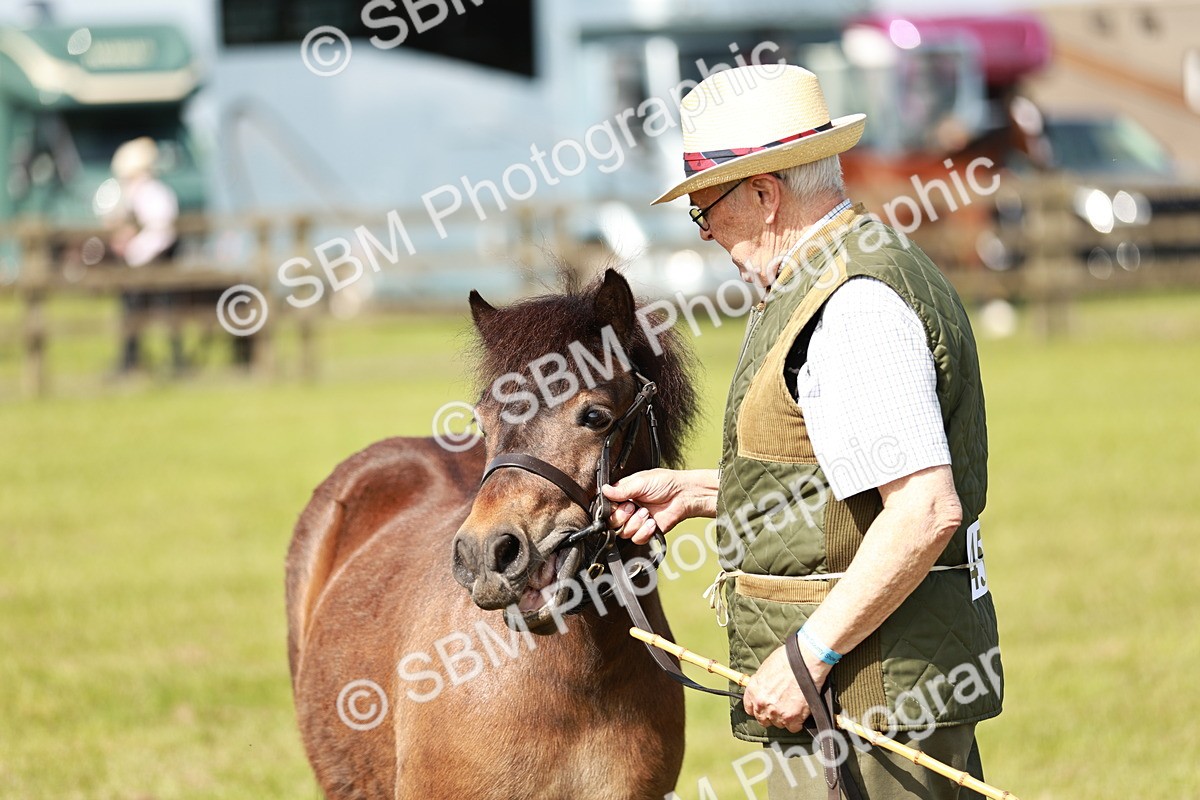 SBM_01819 - Class 14-23 - Mountain & Moorland In Hand Non Welsh