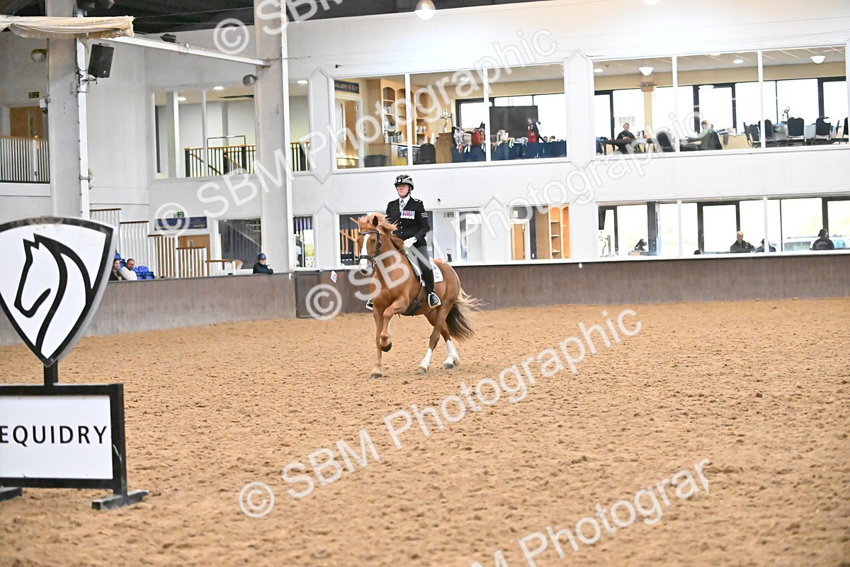 SBM_002955 - Class 37,38 - UKPSAF Performance Horse & Pony