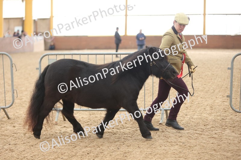 20251109-0121 - Championship