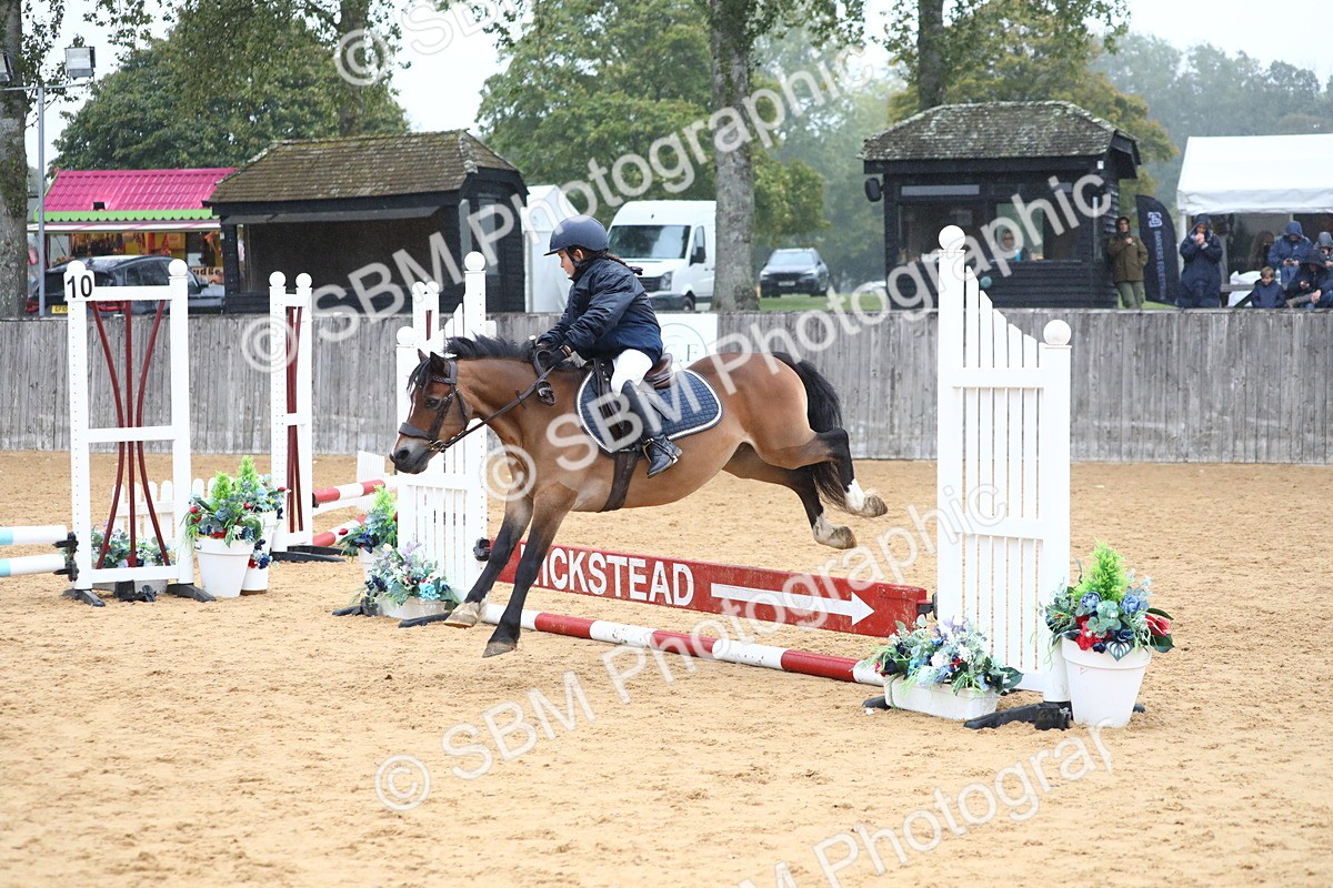 SBM_71758 - J4 - Mini Tour Junior Pony 45cm Championship