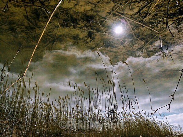ART0012 - Photo Mynott ART Images