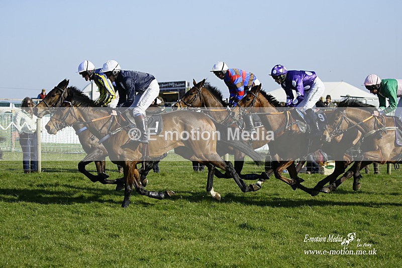 PtP 190322 687 - Wilton Hunt PtP Milborne St Andrew 19/03/22
