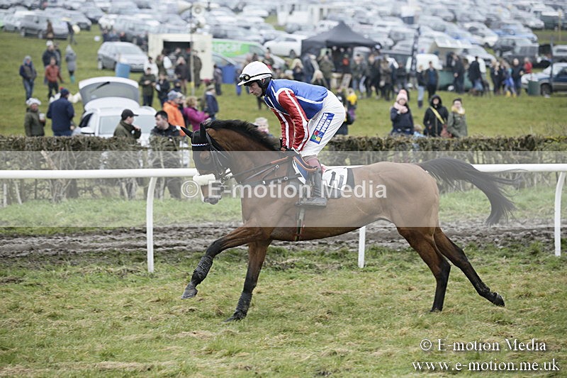PtP 020418 -108 - Old Berks Point-to-Point Races Easter Monday 02/04/18