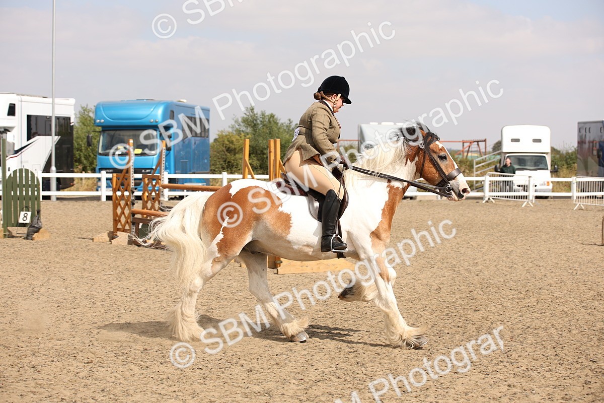 SBM_14291 - Class 407b - Working Veteran 60cm (20+)