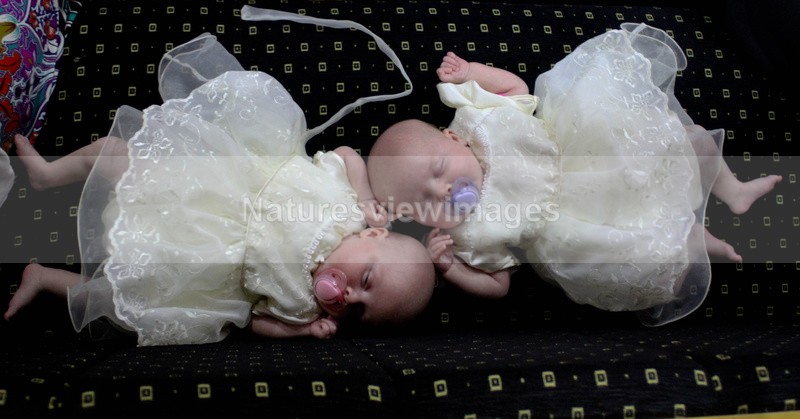 babies 4 - Portraits