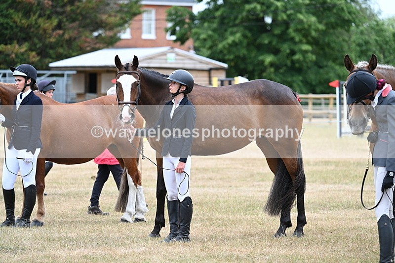 WJ7_9215 - Class 4a Prettiest Mare 14.2hh and over