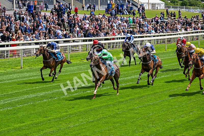 120626-Race 2-Everatease-6823 - Race 2 14.25pm Constant Security Keeping York Racegoers Safe Rous Selling Stakes