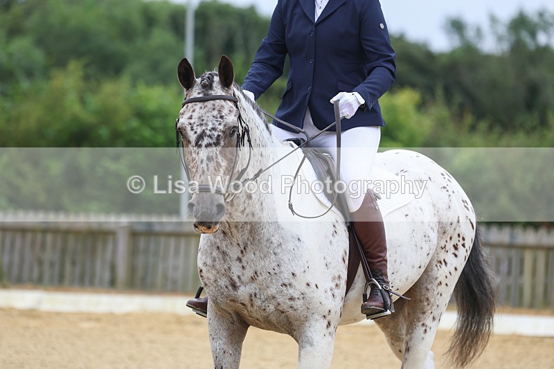 3E7A4521 - Class 1: Intro 4 2024 section A