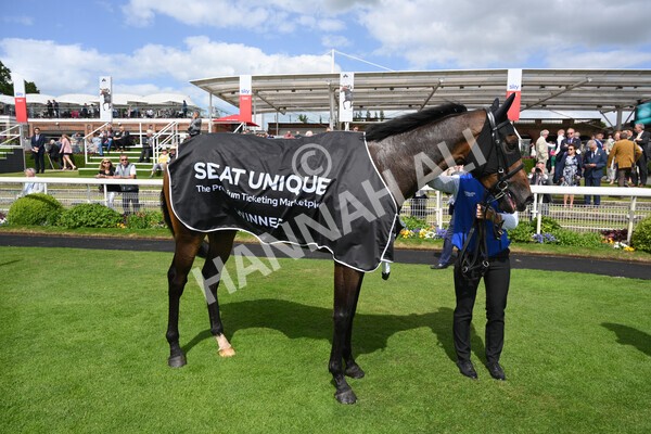 yr10062022r4-46 - Race 4 3.30pm Seat Unique Ganton Stakes