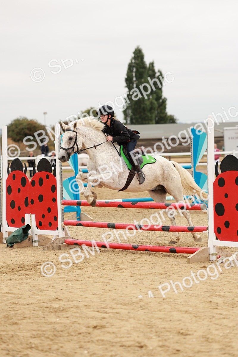 SBM_008611 - Class 5 - 80cm