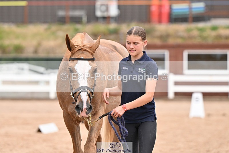 250716-153018-01972 - Trot Up 3.30 to 4.30