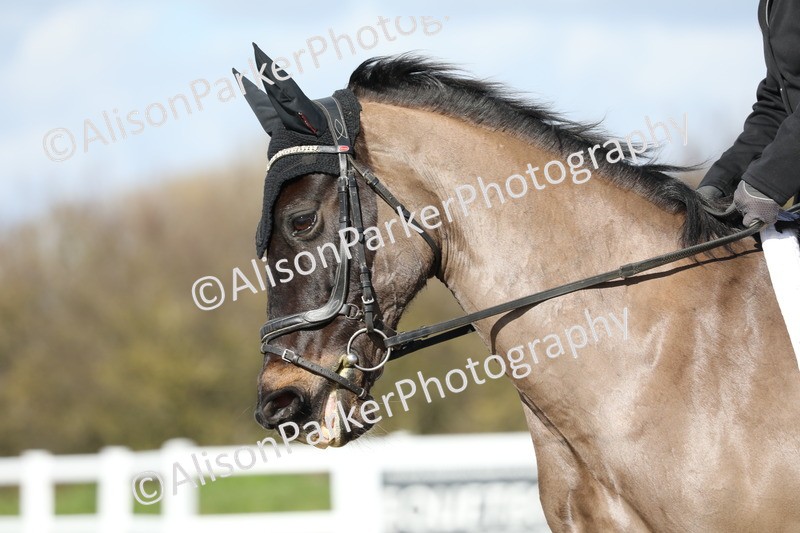 20260314-4744 - CT3 - Prelim 2