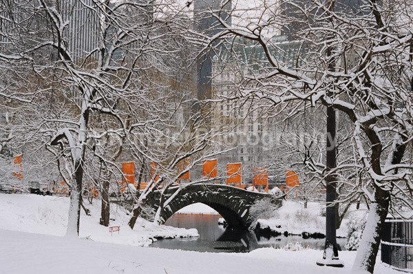  - Central Park