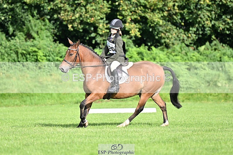 230826-090435-15922 - Sections A & B - 9 to 10am