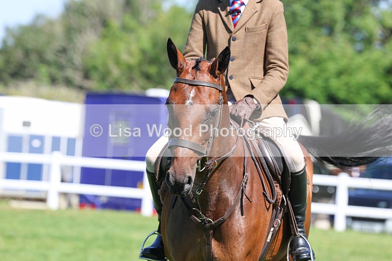 3E7A8456 - Class 4: Novice working Hunter