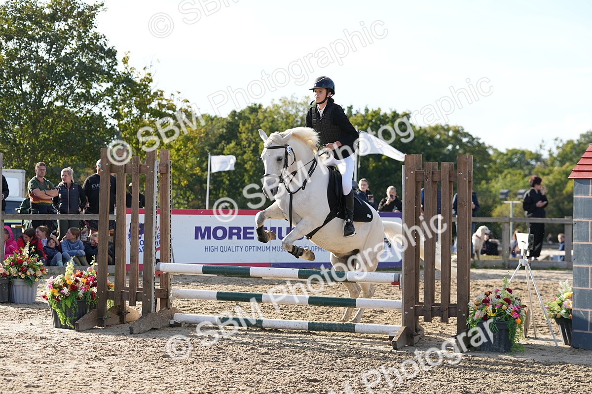 SBM_51211 - J8 - Junior Pony 65cm Championship