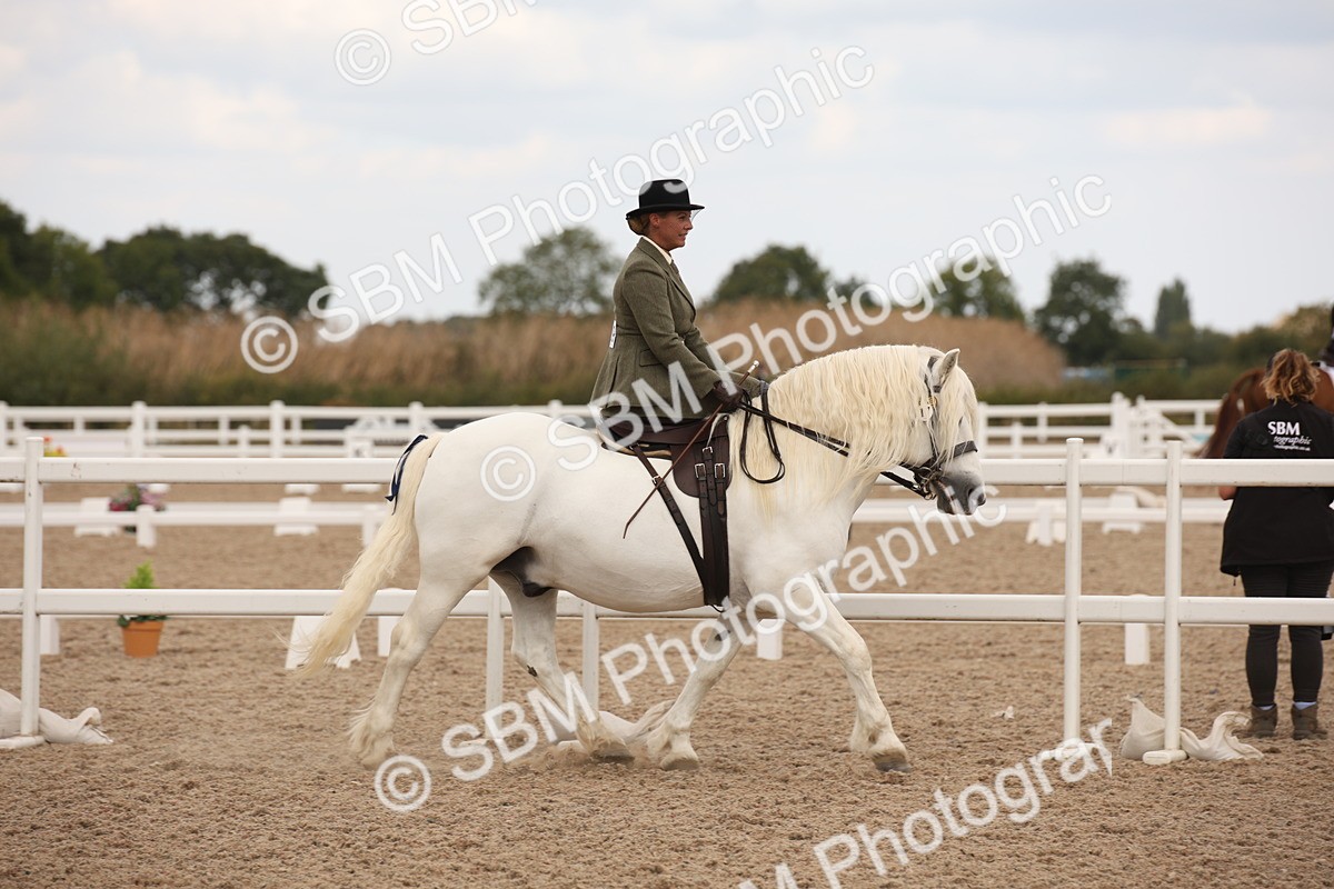 SBM_05321 - Class 22 SSA Equitation