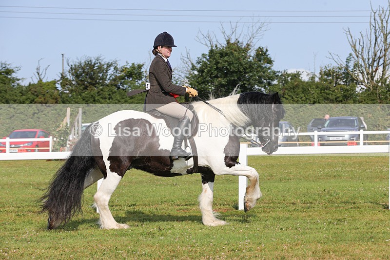 1X9A3176 - Class 27:  Ridden Native/Trad Coloured Horse