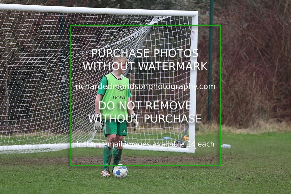 533A6655 - Lonsdale Terriers