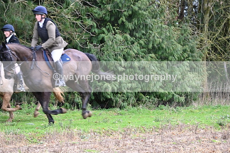 WJ6_9687 - Line Four