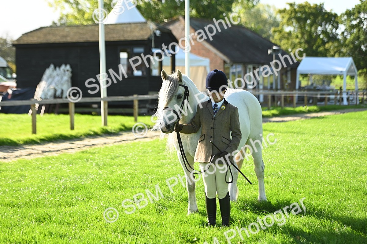 SBM_14766 - S1 - TSR in Hand Horse & Pony Showing