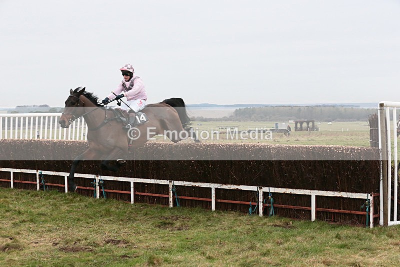 PtP 060119 26 - Larkhill Racing Club - Point-to-Point- 06/01/2019