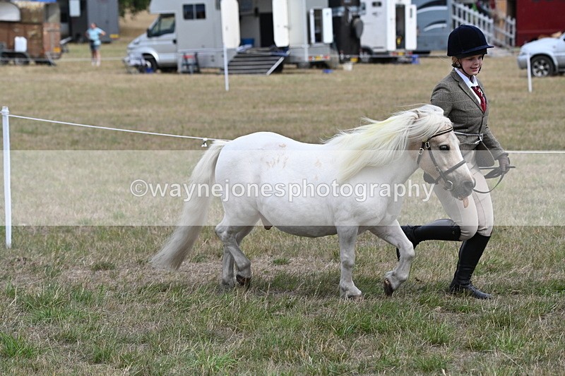 WJ6_5961 - Class 19 In-hand Veterans (Uploaded correct folder)