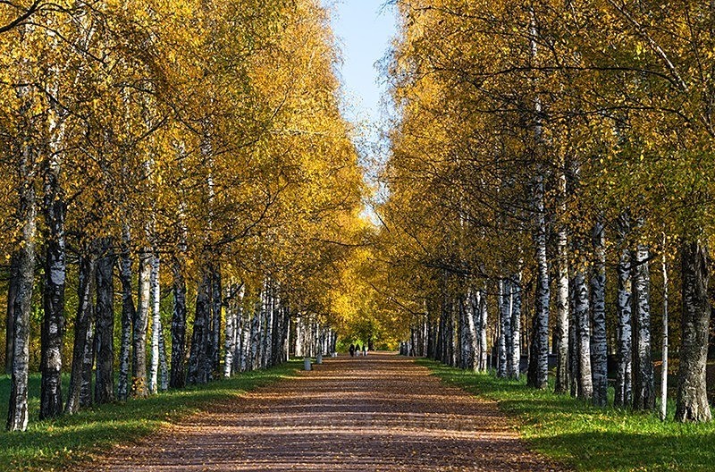  - Russia