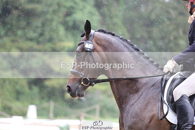 240720-115018-04596 - 234-Georgie_Dudden-Wellpark_Fearless_Fred