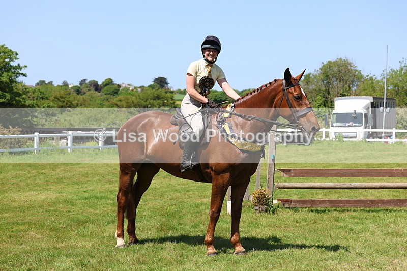 3E7A8105 - Working Hunter Championship
