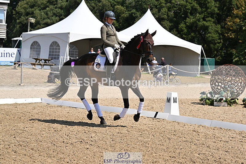 250810A-123428-06409 - Adv Medium GOLD Presentations